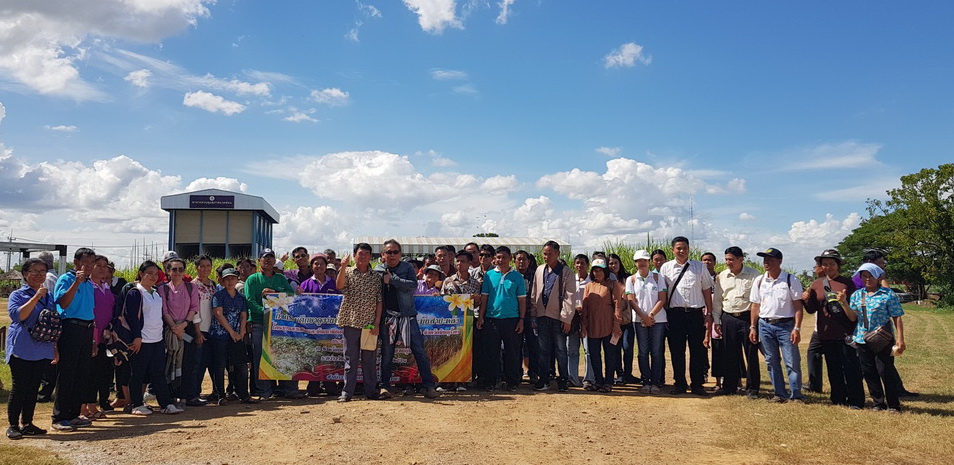 เมื่อวันที่ 28 มิถุนายน 2561 ที่ผ่านมา เจ้าหน้าที่และเกษตรกรจังหวัดพิษณุโลก ขอเข้าดูงานศูนย์การปรับปรุงพันธุ์อ้อยแห่งประเทศไทย (TSBC)